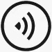voice